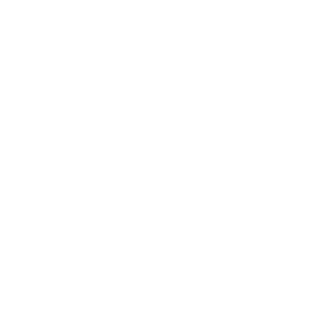 desta white logo